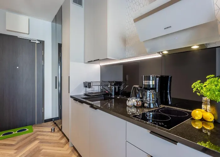 Topmoderne Albus 419 By Interhome Апартаменты Chorzemin